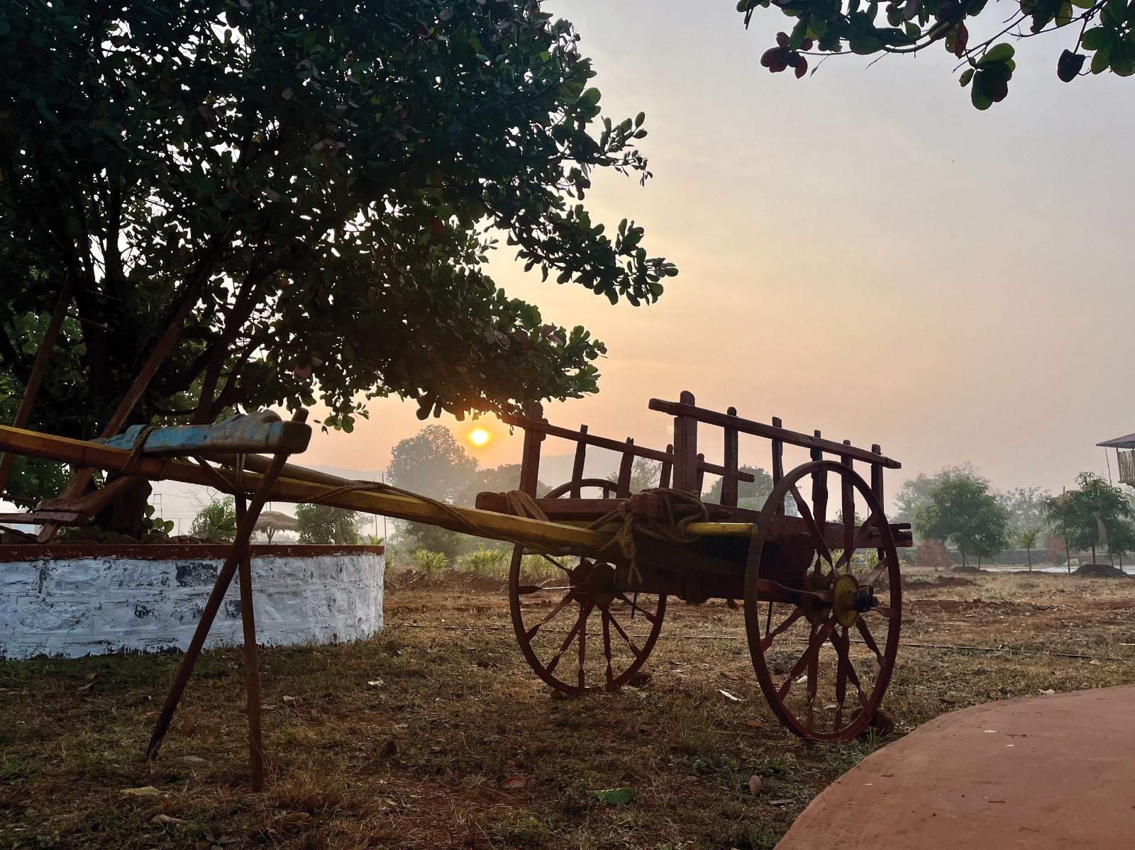 Heritage bullock cart at sunrise at Mitraay Resort