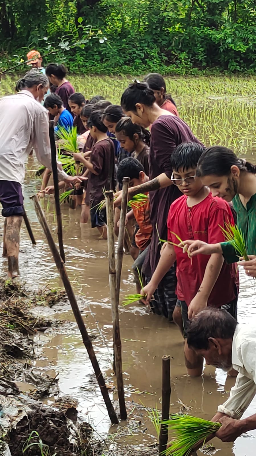 Close-up of school kids' faces while planting rice at Mitraay Resort