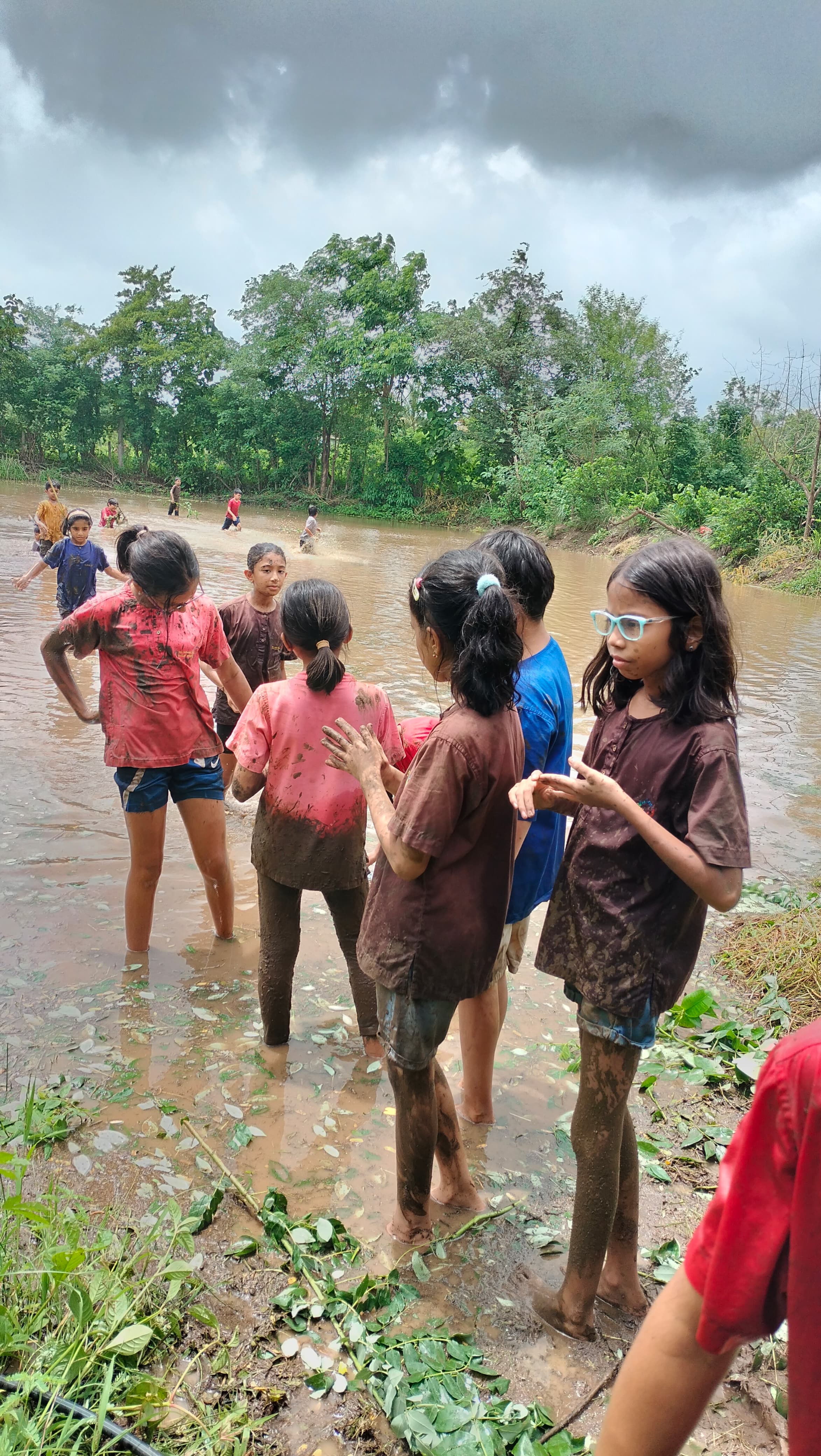 Line of school kids planting rice in paddy field at Mitraay Resort